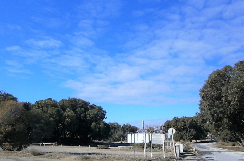 Moderno Apartamento en La Marina del Pinat – Elche
