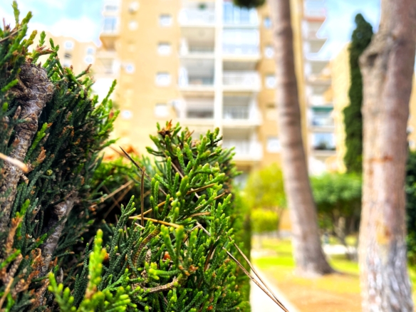 Apartamento a 300m. de la playa de Campoamor – Orihuela Costa